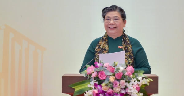 Tự chủ đại học: Nhiều hiệu trưởng vẫn muốn mình là to nhất