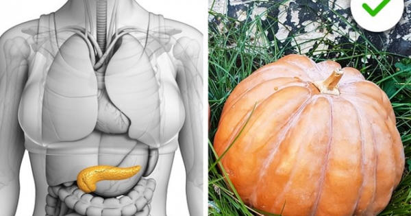 Ăn nhiều bí đỏ giúp phòng ngừa hiệu quả ung thư và bệnh tim mạch