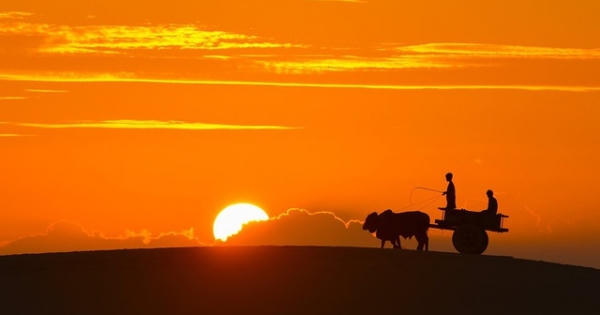 Ngắm khoảnh khắc Việt Nam trong vẻ đẹp thế giới năm 2020