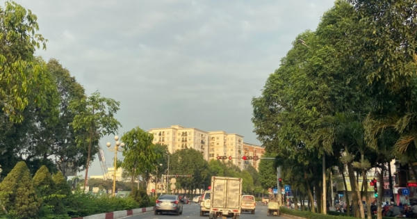 Đồng Nai: Đặt tiêu chí cây xanh lên hàng đầu trong quy hoạch phân khu C4