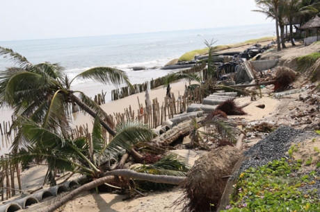 Ném tiền qua... Cửa Đại