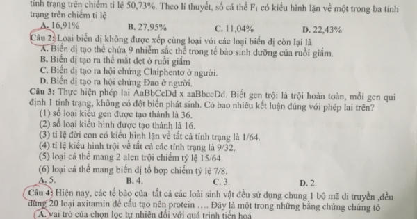Hải Phòng: Nhiều lỗi trong đề thi khảo sát chất lượng học sinh THPT