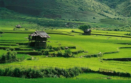 4 ngày phát hiện 2 thi thể nam giới ở cánh đồng Mường Thanh