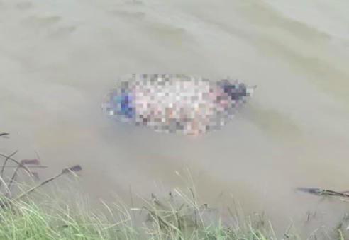 Tạm giữ đối tượng nghi liên quan đến vụ án hiếp dâm, cướp tài sản phi tang xác trên sông