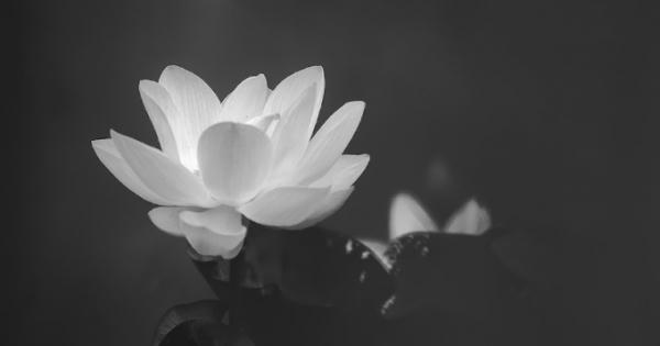 Thượng tá, nhà báo Nghiêm Xuân Luận từ trần