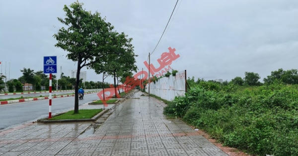 Vũng Tàu: Dự án Metropolitan bị bị kẹt trong vụ án hình sự, doanh nghiệp cầu cứu