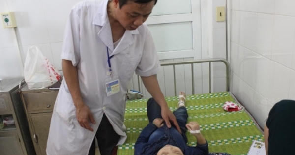 Tặng giấy khen cho 2 cô giáo cứu 17 trẻ bị ong rừng đốt