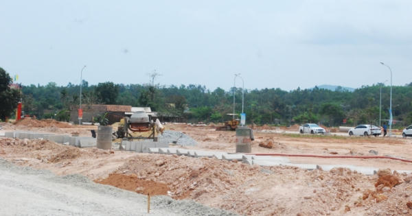 Quảng Ngãi thành lập Hội đồng thẩm định quy hoạch, kế hoạch sử dụng đất