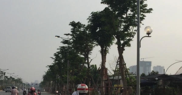 Hà Nội: Hàng trăm đèn đường sáng giữa ban ngày