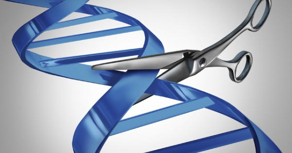 Đột phá: Chữa khỏi hoàn toàn bệnh AIDS bằng chỉnh sửa gen