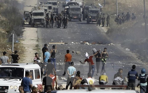 Pháp lý thiết chế chính trị