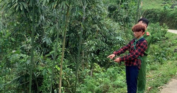 Lào Cai: Khởi tố anh trai tàn nhẫn xuống tay giết em ruột mới 3 tuổi vì việc chia đất