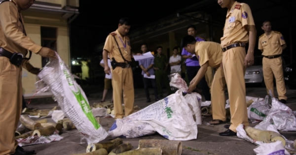 Đối tượng gợi ý đút lót nửa tỷ đồng để bỏ qua 500 kg ngà voi bị bắt