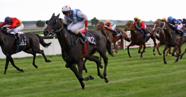 Tin Audio địa ốc 360s: Vĩnh Phúc sẽ xây dựng trường đua ngựa lớn nhất Việt Nam