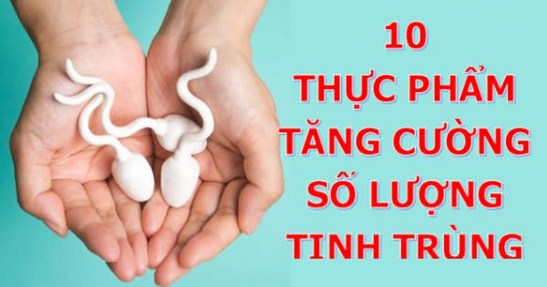 Top 10 thực phẩm giúp các chàng tăng cường số lượng tinh trùng