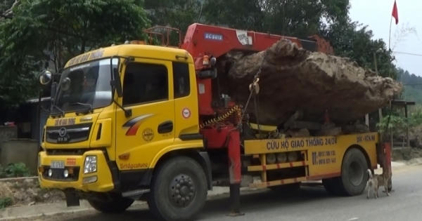 Bắc Kạn: Phó Chủ tịch UBND huyện Bạch Thông lên tiếng về vụ gỗ Gù Hương