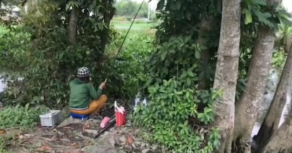 Nữ cao thủ giật cá trê liên tục sông Sài Gòn