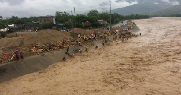 Yên Bái: Người dân lao mình ra dòng lũ vớt trâu bò