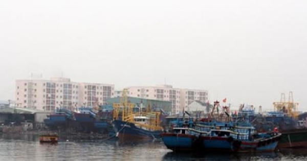 Đà Nẵng lập ban chỉ huy tiền phương tiêu thụ cá sạch