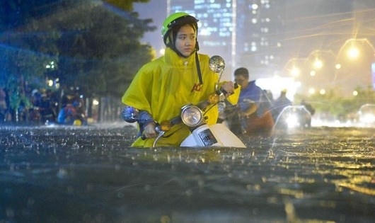 “Chôm chỉa” tác phẩm - vấn nạn của làng nghệ thuật