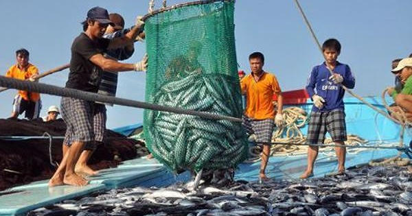 Nghề nghiệp và luật pháp