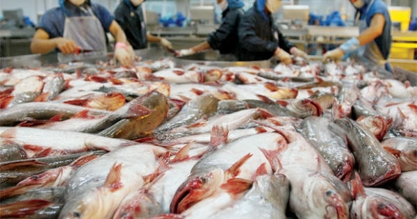 VASEP dự báo xuất khẩu thủy sản của Việt Nam sẽ đạt 7 tỉ USD năm nay