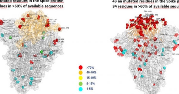 Việt Nam giám sát dịch tễ virus SARS-CoV-2 ngăn chặn biến chủng Omicron