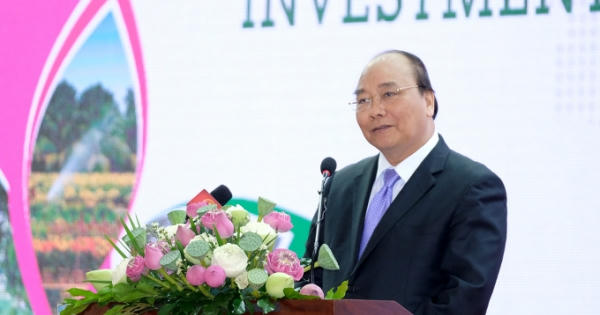 Thủ tướng Nguyễn Xuân Phúc: “Những con sếu đầu đàn hãy vào Đồng Tháp” Thủ tướng Nguyễn Xuân Phúc: “Những con sếu đầu đàn hãy vào Đồng Tháp”