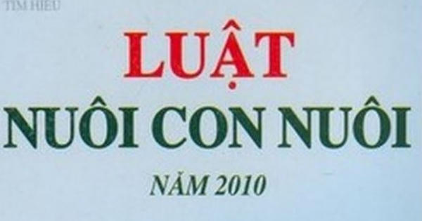 Gỡ vướng trong rà soát, lập danh sách trẻ làm con nuôi