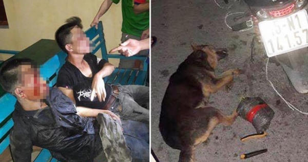 Hải Phòng: Nghi phạm trộm chó giả chết để né trận đòn sinh tử