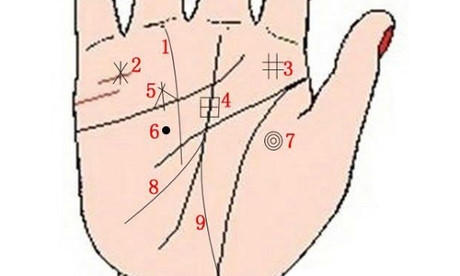 9 đường chỉ tay giúp thăng quan, giàu sang trọn đời
