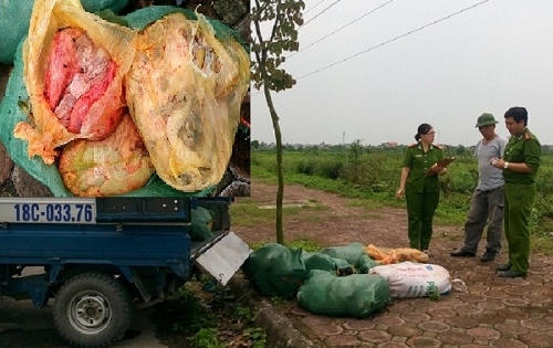 Nam Định: Bắt giữ xe tải chở 600kg nội tạng không rõ nguồn gốc