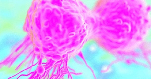 Thử nghiệm thành công "vắc xin" trị ung thư trên chuột