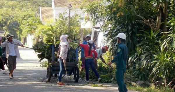 Đà Nẵng: Cán bộ xã tử vong trong lúc dọn vệ sinh môi trường