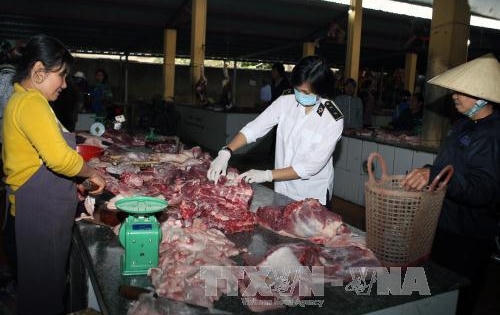 Thanh Hóa quản lý chặt hoạt động giết mổ động vật
