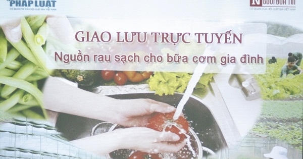 Tìm nguồn rau sạch ở đâu cho mỗi bữa cơm gia đình