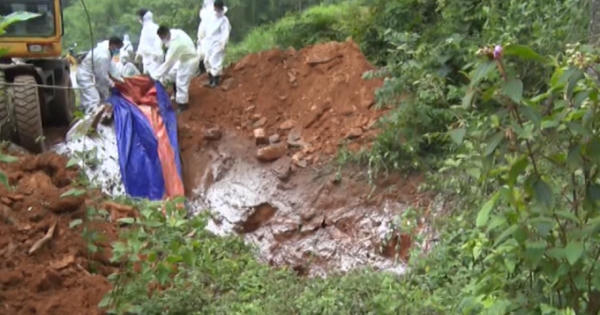 Cao Bằng: Dịch tả lợn châu Phi có biểu hiện lan rộng, khó kiểm soát