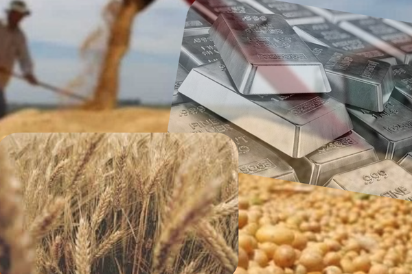 Giá bạch kim tăng vọt, quay lại vùng đỉnh cuối năm