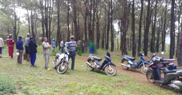 Gia Lai: Phát hiện người đàn ông chết trong tư thế treo cổ trên đồi thông