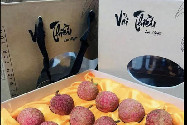 Biznews: Vải thiều của Bắc Giang được bảo hộ nhãn hiệu tại 8 Quốc gia