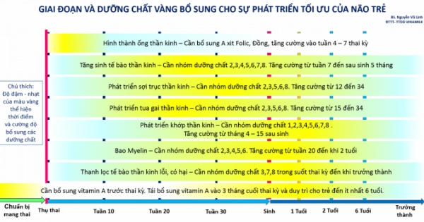 Dinh dưỡng vàng cho phát triển tối ưu não bộ trong những năm tháng đầu đời