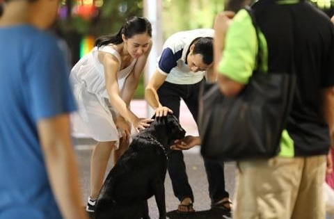 Cấm chó không rọ mõm vào phố đi bộ ở Hà Nội