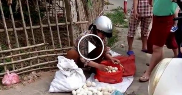Clip: Người phụ nữ nghi bán trứng giả  bị dân "tóm" gọn