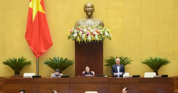 Hôm nay, Quốc hội quyết việc bỏ HĐND quận, phường ở TP HCM