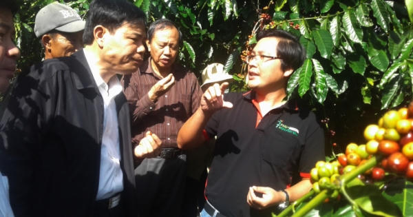 Phát huy tiềm năng và nâng cao năng suất Cà phê Việt Nam