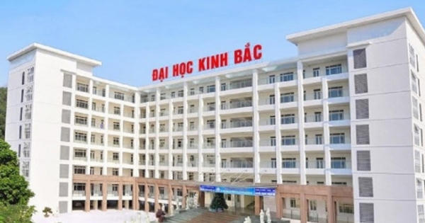 Phó Hiệu trưởng Trường Đại học Kinh Bắc bị bắt về tội gì? Phó Hiệu trưởng Trường Đại học Kinh Bắc bị bắt về tội gì?
