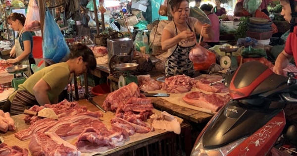 Giá tăng chưa từng có, Tết này lợn đông đá gói bánh chưng