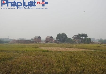 Xã “phủi” trách nhiệm khi lò gạch ung dung "mọc lên" trên đất nông nghiệp