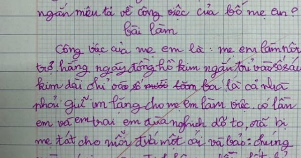 Cười ngất với bài văn mô tả công việc bố mẹ của học sinh lớp 3