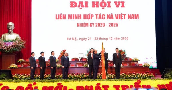 Thủ tướng: Sẽ kịp thời tháo gỡ khó khăn để các hợp tác xã phát triển bền vững